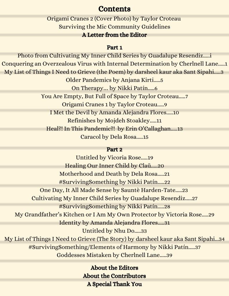 Image description: table of contents in black text against a cream-colored background that with dark brown horizontal lines, in the style of wide-ruled notebook paper